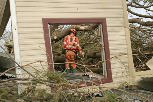 Best Seasonal Cleanup (Spring/Fall)  in Cibolo, TX